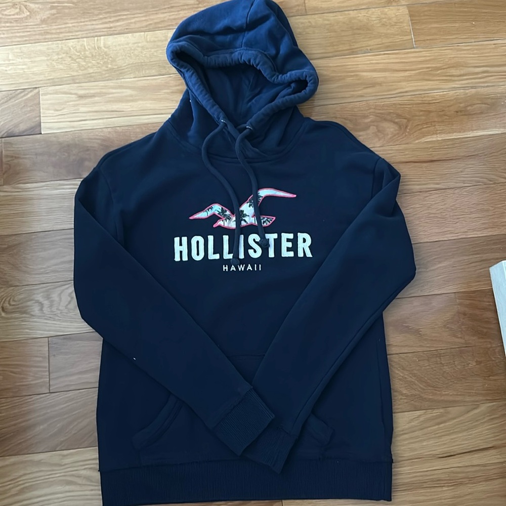 Hollister Logo Hoodie